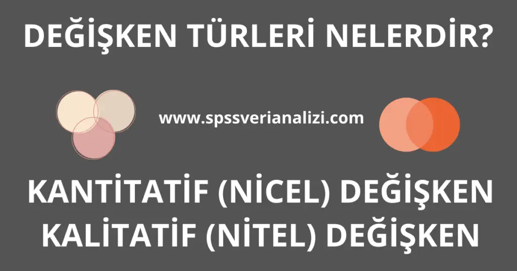 Değişken türleri nelerdir? Kantitatif ve kalitatif değişken nedir?