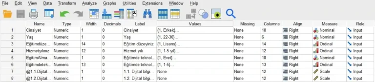 Nominal, Ordinal ve Scale ölçekler SPSS'te nasıl girilir?