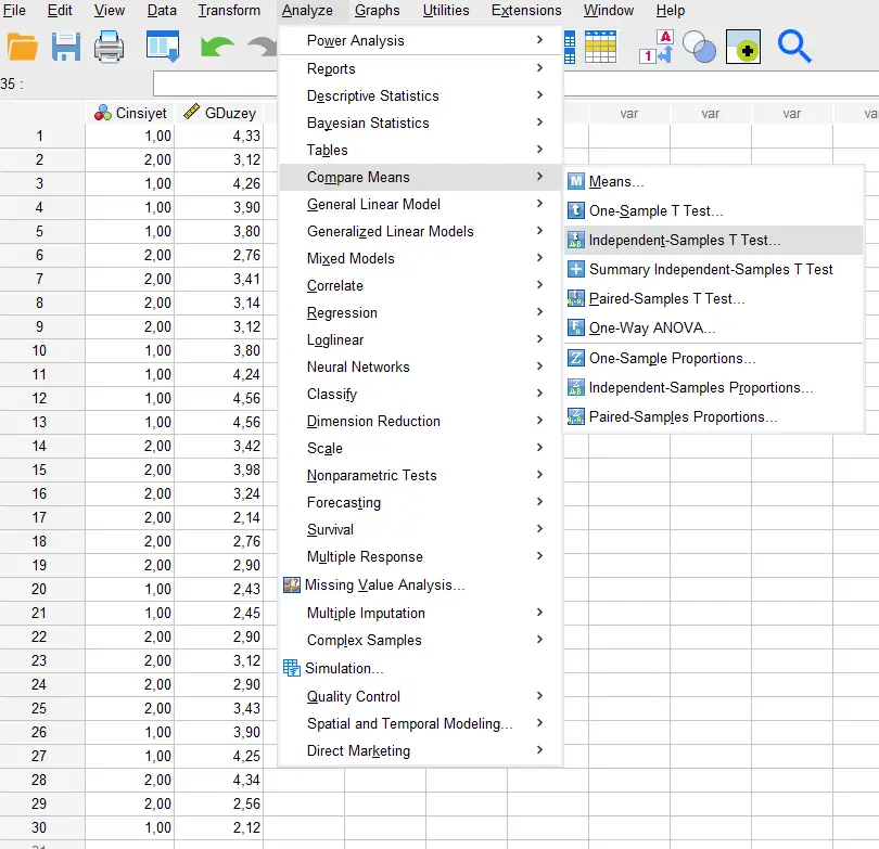 SPSS'te Independent Samples T-Test nasıl uygulanır, hangi adımlar izlenmelidir?