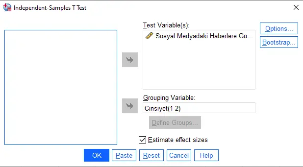 Independent Samples T-Test menüsünde hangi seçimler yapılmalıdır?