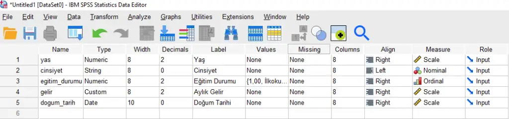 SPSS programında değişkenler nasıl tanımlanabilir? SPSS'e veri girişi nasıl yapılır?
