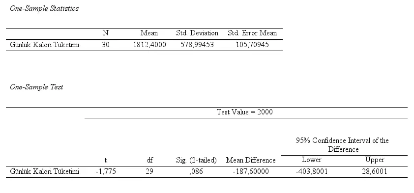 One Sample T-Test Output Ekranı
