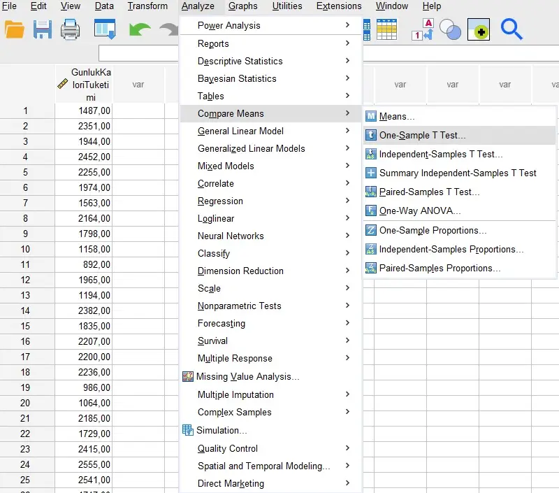 Tek Örneklem T-Test, SPSS Üzerinde Nasıl Uygulanır?